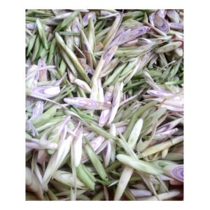 Frozen Lemongrass - Hình ảnh 3