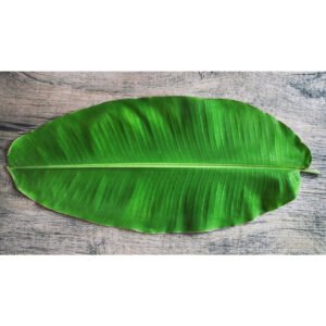 Frozen Banana Leaves - Hình ảnh 3