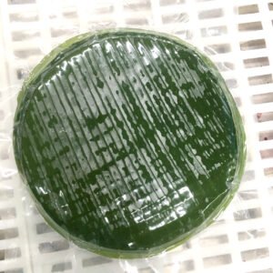 Frozen Banana Leaves - Hình ảnh 2