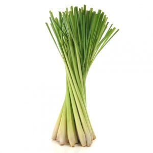 Frozen Lemongrass - Hình ảnh 4