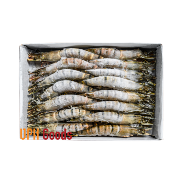 Vannamei Monodon (Litopenaeus Vannamei) Frozen