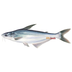 Frozen Pangasius Fin | Basa Fin - Hình ảnh 3