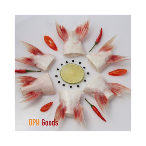 Frozen Pangasius Fin | Basa Fin