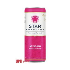 Kombucha Atiso Ginger